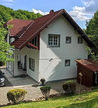 Casa Banucu Satu Mare (Harghita) Exterior photo