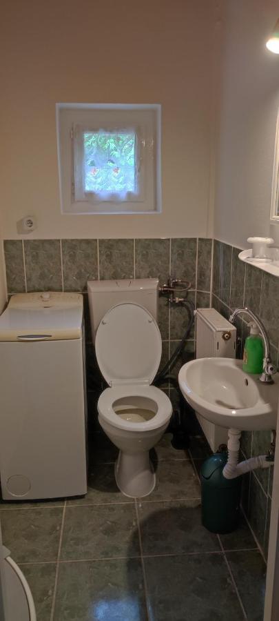 Casa Banucu * Satu Mare (Harghita)